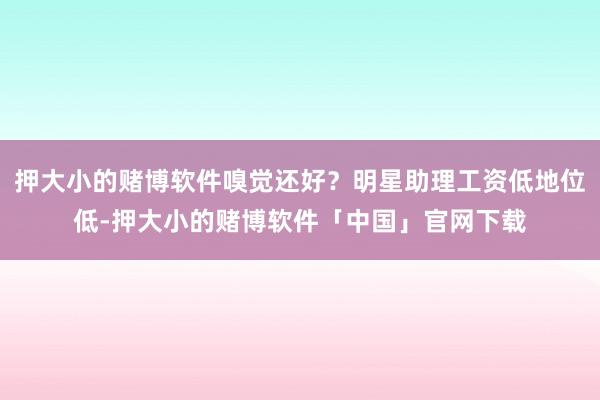 押大小的赌博软件嗅觉还好？明星助理工资低地位低-押大小的赌博软件「中国」官网下载