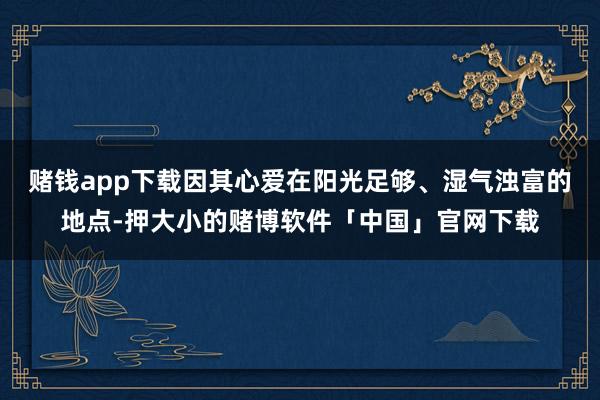 赌钱app下载因其心爱在阳光足够、湿气浊富的地点-押大小的赌博软件「中国」官网下载