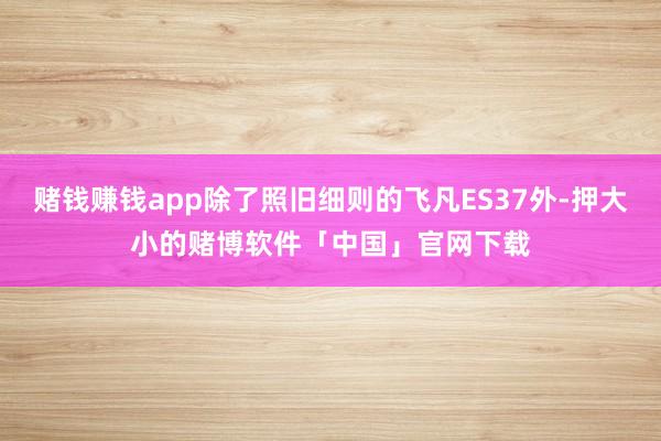 赌钱赚钱app除了照旧细则的飞凡ES37外-押大小的赌博软件「中国」官网下载
