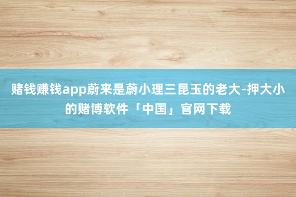 赌钱赚钱app蔚来是蔚小理三昆玉的老大-押大小的赌博软件「中国」官网下载