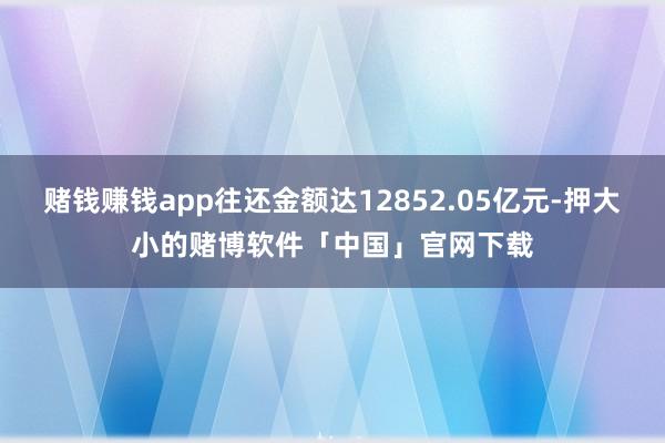 赌钱赚钱app往还金额达12852.05亿元-押大小的赌博软件「中国」官网下载