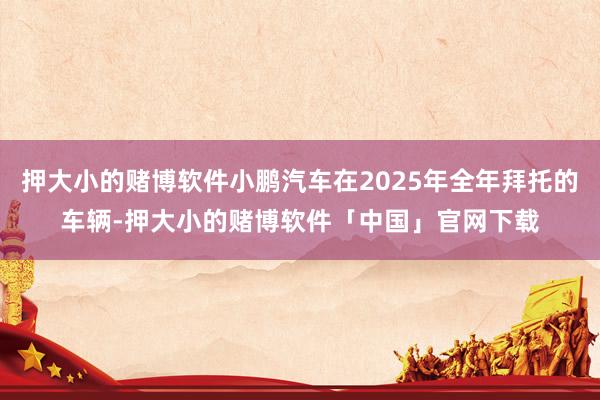 押大小的赌博软件小鹏汽车在2025年全年拜托的车辆-押大小的赌博软件「中国」官网下载
