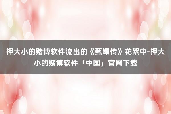 押大小的赌博软件流出的《甄嬛传》花絮中-押大小的赌博软件「中国」官网下载