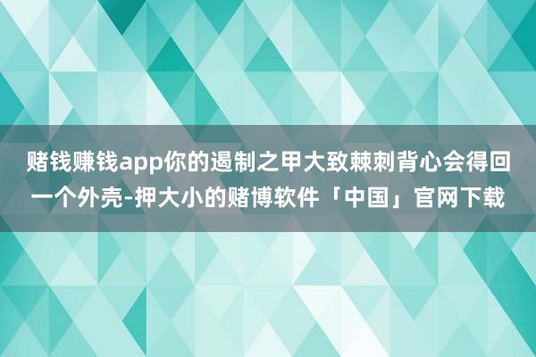 赌钱赚钱app你的遏制之甲大致棘刺背心会得回一个外壳-押大小的赌博软件「中国」官网下载