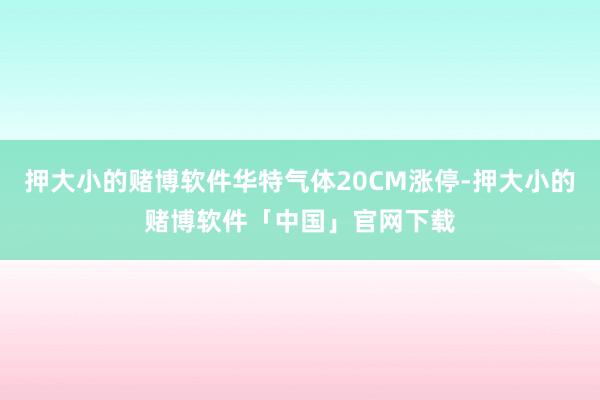 押大小的赌博软件华特气体20CM涨停-押大小的赌博软件「中国」官网下载