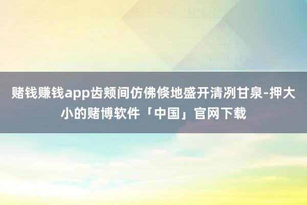 赌钱赚钱app齿颊间仿佛倏地盛开清冽甘泉-押大小的赌博软件「中国」官网下载