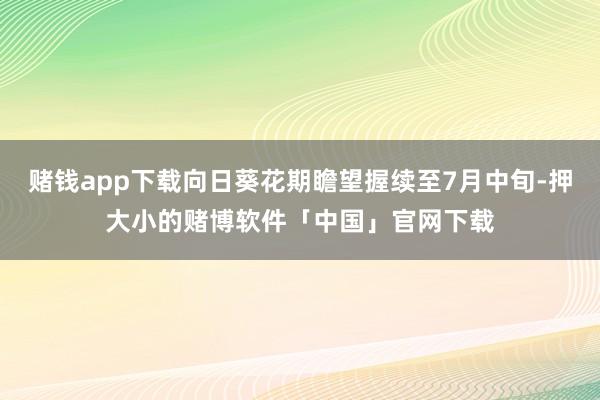 赌钱app下载向日葵花期瞻望握续至7月中旬-押大小的赌博软件「中国」官网下载